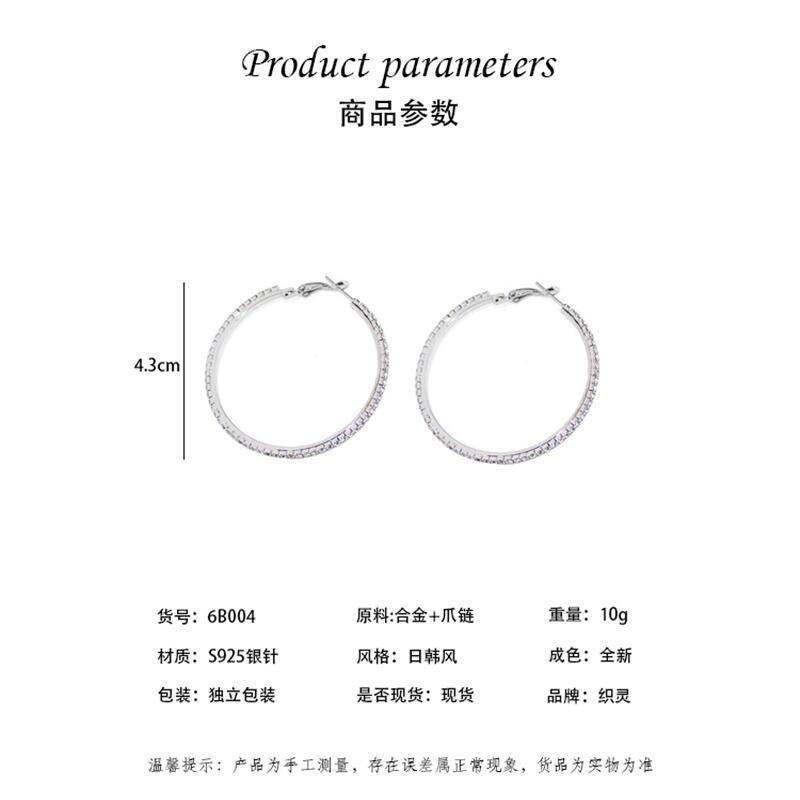 S925 silver needle full diamond round cold style earrings earrings female Net Red European and American elegant fashion ins earrings earrings
